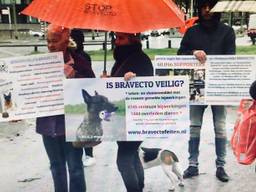 Protest tegen Bravecto in Den Haag (foto: Raoul Cartens)