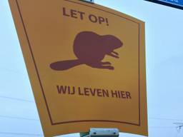 Opgelet want wij leven hier en wij kunnen onverwachts oversteken