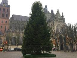 In Den Bosch staat tie al de kerstboom op de Parade