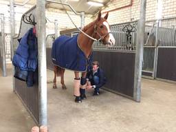 Ook paarden hebben extra zorg nodig rond het knallende oud-op-nieuw