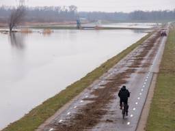 Rotzooi blijft achter nadat Het waterpeil in de Biesbosch daalt. ( Foto:Jurgen Versteeg/ GinoPress B.V.)