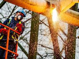 Demontage Python gestart. Foto: de Efteling