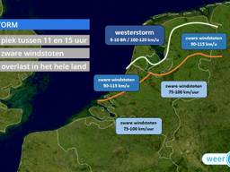 In Brabant waaide het nog niet eens het hardst. (Beeld: Weerplaza)