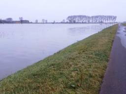 Bergsche Maas bij Overdiepse Polder (foto: Waterschap Brabantse Delta).