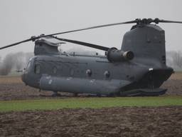 De chinook in het weiland. (Foto: SQ Vision Mediaprodukties)