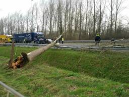 (Foto: SQ Vision Mediaprodukties)
