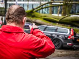 Een flinke boom belandde bovenop een auto. (Foto: Rob Engelaar)