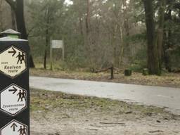 De Keelvenweg in Someren (Foto: Pim Verkoelen).