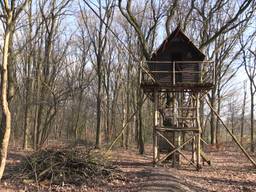 De boomhut is nu veel hoger dan 2,5 meter.