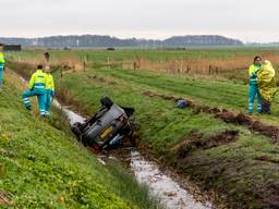 Foto: Marcel van Dorst