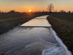 Het buitengebied tussen Helmond en Bakel (foto: Alice van der Plas)