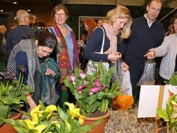 Volop lentekriebels bij Tuinidee (foto: Karin Kamp)