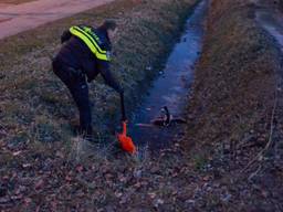 De agenten schoten te hulp (foto: Toby de Kort)