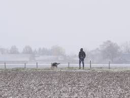 Een man trotseert de kou met zijn hond. (Foto: Ben Saanen)