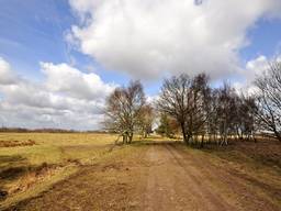 Woensdag kregen we al een voorproefje van het mooie weer, ook in Budel (Foto: Ben Saanen).