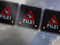 Lange file op de A58