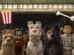 Still uit de film Isle of Dogs. Beeld: Chasse Theater.