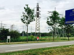 De Amercentrale gaat 11 weken dicht voor groot onderhoud (foto: Raoul Cartens)