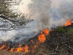 Brand op de Strabrechtse Heide (Foto: Sem van Rijssel/SQ Vision)