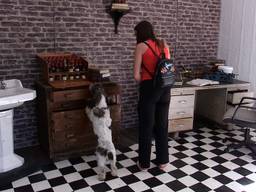 Baasjes en honden lossen samen puzzels op in de escape room