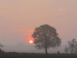 Een saharazand zonsopgang zondag 29 april - Foto: Peter van der Schoot