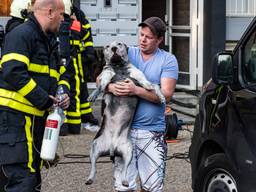 Harko met Nero. (Foto: Jack Brekelmans)