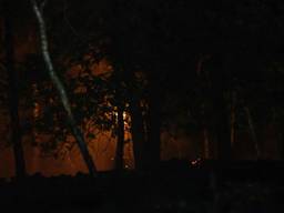 Het vuur woedde tussen Helenaveen en Grientsveen. (Foto: Dave Hendriks)