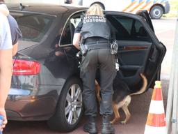 Foto: Jurgen Versteeg/FPMB