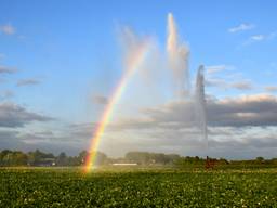 Mooie afsluiting van de lente die droog en warm was. (Foto: Ben Saanen)