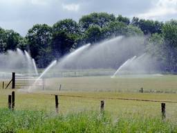 Voor beregening mag in delen van West- en Midden-Brabant geen water meer worden gepompt uit oppervlaktewater. (Foto: Waterschap Brabantse Delta)