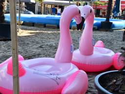 Aan de Havermarkt in Breda kan tot en met het weekend genoten worden van water en strand. (Foto: Perry Roovers / SQ Vision)