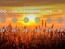 Zon, zon en nog eens zon de komende dagen!