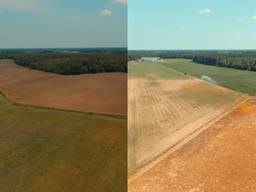 De droogte heeft al veel schade aangericht. (foto: Marcel Pijpers).