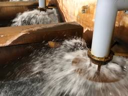 Ruim voldoende grondwater bij Brabant Water ondanks de droogte