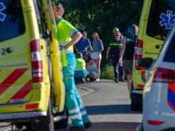 De paarden zouden geschrokken zijn van een hond (foto: Toby de Kort)