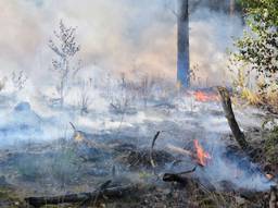 Een flink stuk bos staat in brand. (Foto: Toby de Kort)