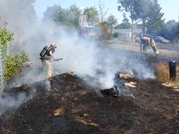 De bermbrand in Helmond was snel onder controle. (Foto: Danny van Schijndel)