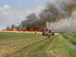 Het graanveld staat in brand. (Foto: GinoPress)