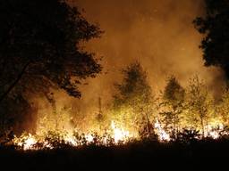 De brand aan de Graafseweg in Boxmeer (Foto: Saskia Kusters / SK-Media)