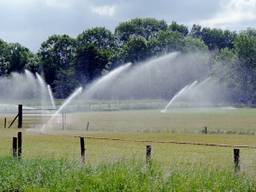 Het grasland mag voorlopig niet beregend worden (Foto: Waterschap Brabantse Delta).