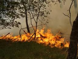 Vorig jaar juli woedde er een grote brand in natuurgebied Loonse en Drunense Duinen. (Foto FPMB)