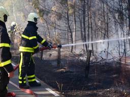 De brandweer had het vuur snel onder controle (foto: Jeroen Stuve/Stuve Fotografie)