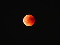 De bloedmaan in de zomer van 2018 (foto: Niels Kanters)