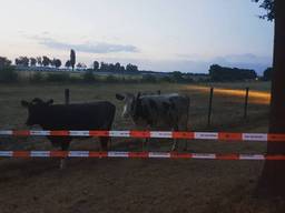Foto: Politieteam Groene Beemden.