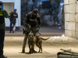 De inval eerder dit jaar (Foto: Mathijs Bertens/Stuve Fotografie).