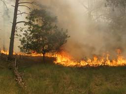 De brand in de Loonse en Drunense Duinen. Foto: Erik Haverhals