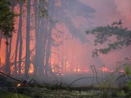 Donderdag woedde er een flinke brand in het gebied. (Foto: Berry van Gaal/SQ Vision Mediaprodukties)