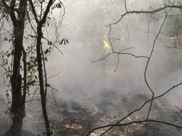 De brandweer slaat de brand in de Loonse en Drunense Duinen uit.