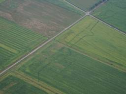 Verdedigingslinies uit 1629 te zien in het Vughts Gemert door de droogte. (Foto: Waterschap Aa en Maas).