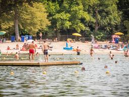 Brabanders zwemmen tegen zwemverbod in (Foto: Sem van Rijssel)